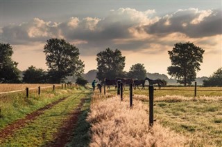 Netherlands weather forecast