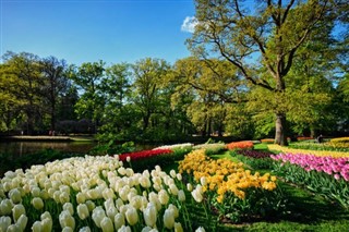 Netherlands weather forecast