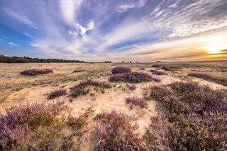 Netherlands weather forecast