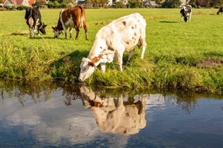 Netherlands weather forecast