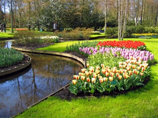 Netherlands weather forecast