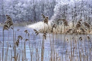 Netherlands weather forecast