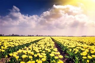 Netherlands weather forecast