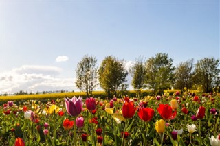 Netherlands weather forecast