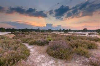 Netherlands weather forecast