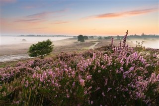 Netherlands weather forecast