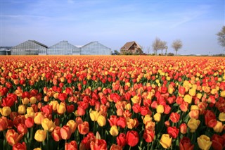 Netherlands weather forecast