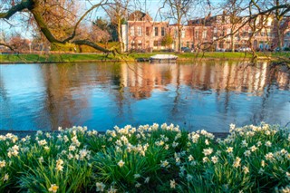 Netherlands weather forecast