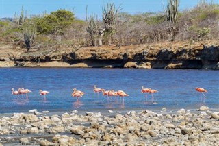 Netherlands Antilles weather forecast