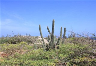 Antyle Holenderskie prognoza pogody