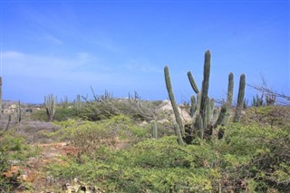 Antillas Holandesas pronóstico del tiempo