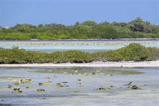 Antillas Holandesas pronóstico del tiempo