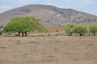 New Caledonia weather forecast