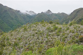 New Caledonia weather forecast