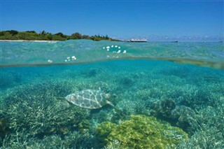 New Caledonia weather forecast