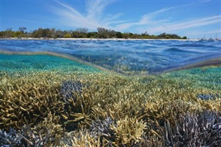 New Caledonia weather forecast