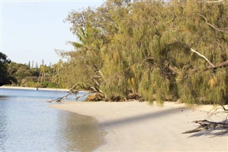 New Caledonia weather forecast