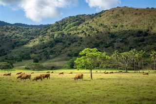 New Caledonia weather forecast