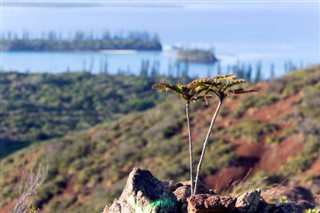 New Caledonia weather forecast