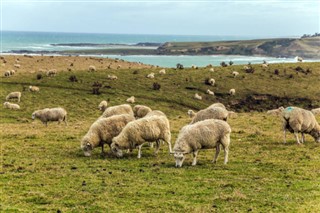 New Zealand weather forecast