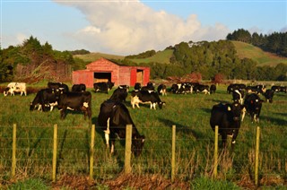 New Zealand weather forecast