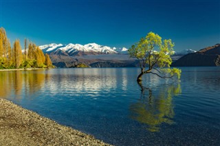 New Zealand weather forecast