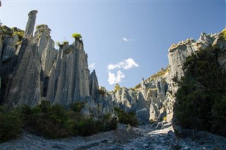 New Zealand weather forecast