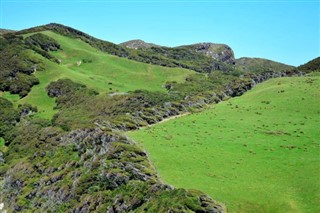 New Zealand weather forecast