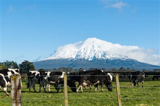 New Zealand weather forecast