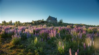 New Zealand weather forecast