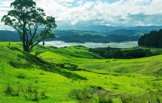 New Zealand weather forecast