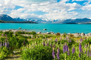 New Zealand weather forecast