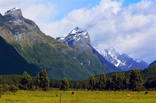 New Zealand weather forecast