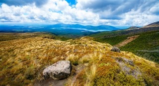 New Zealand weather forecast