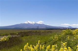 New Zealand weather forecast