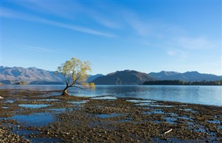 New Zealand weather forecast