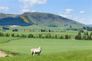 New Zealand weather forecast