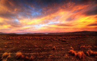 New Zealand weather forecast