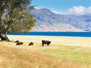 New Zealand weather forecast