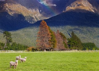 New Zealand weather forecast