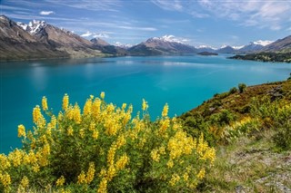 New Zealand weather forecast