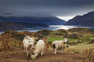 New Zealand weather forecast