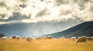 New Zealand weather forecast