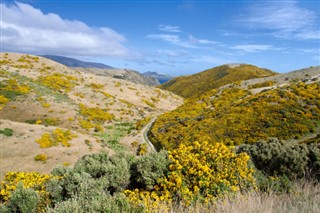 New Zealand weather forecast