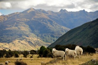 New Zealand weather forecast