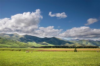 New Zealand weather forecast