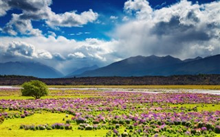 New Zealand weather forecast