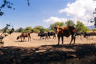 Nicaragua weather forecast