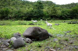 Nicaragua weather forecast