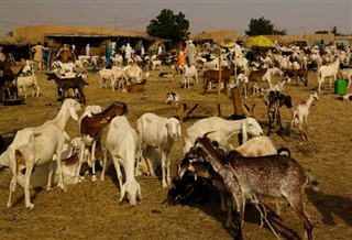 Niger weather forecast